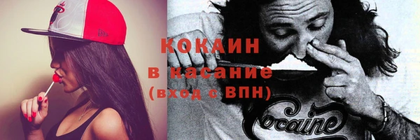 дмт Елабуга