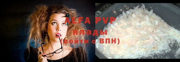 бошки Ельня