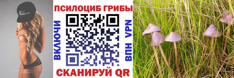 Галлюциногенные грибы MAGIC MUSHROOMS  Купить  Малмыж 
